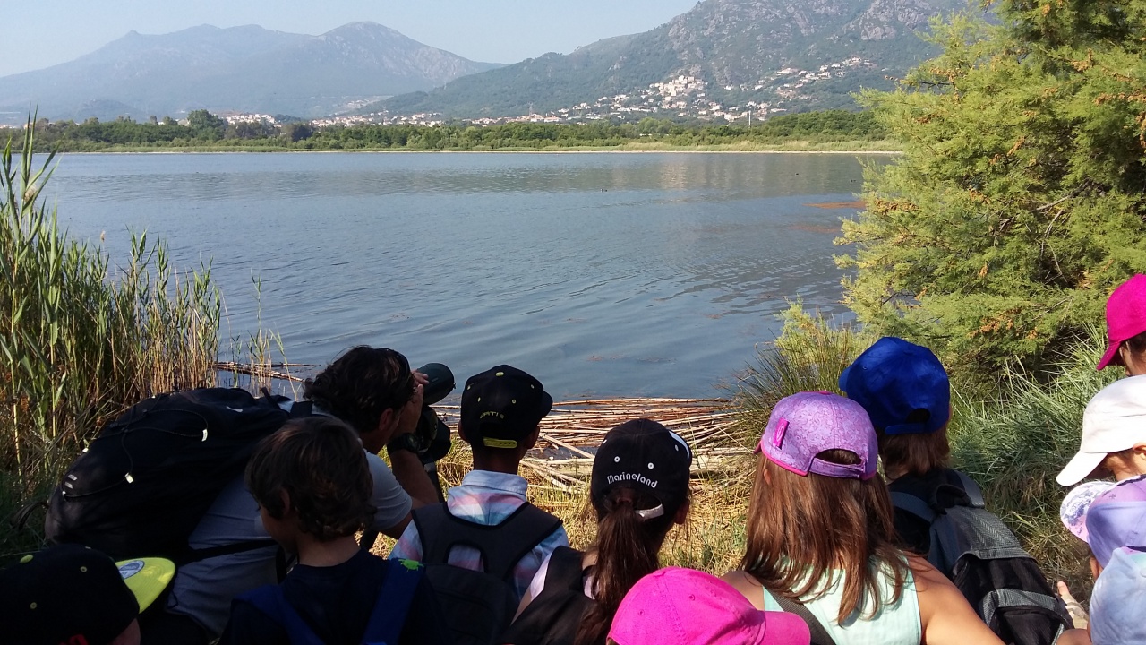 20150602_093657 20150602_093657