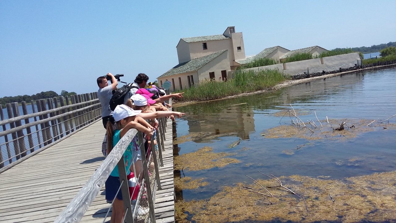 20150602_131219 20150602_131219