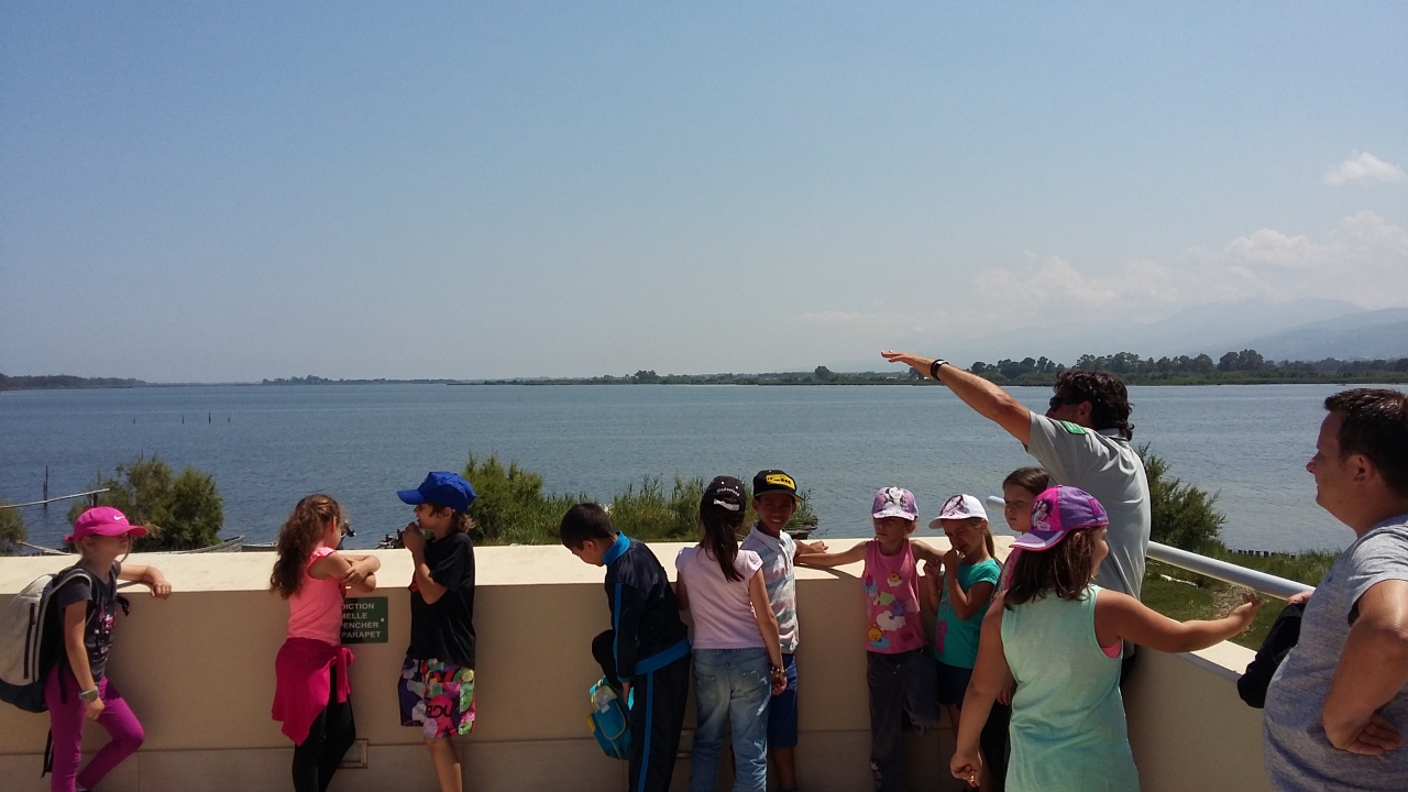 20150602_143312 20150602_143312