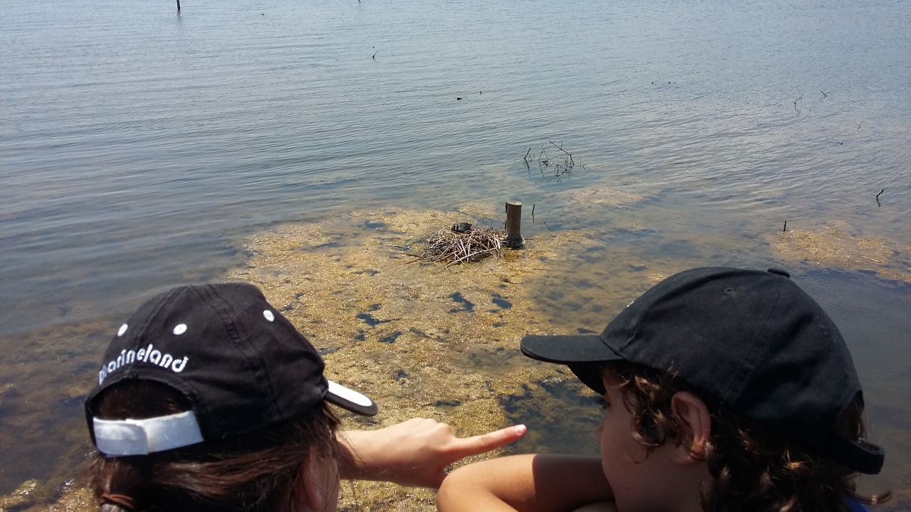 20150602_131133 20150602_131133