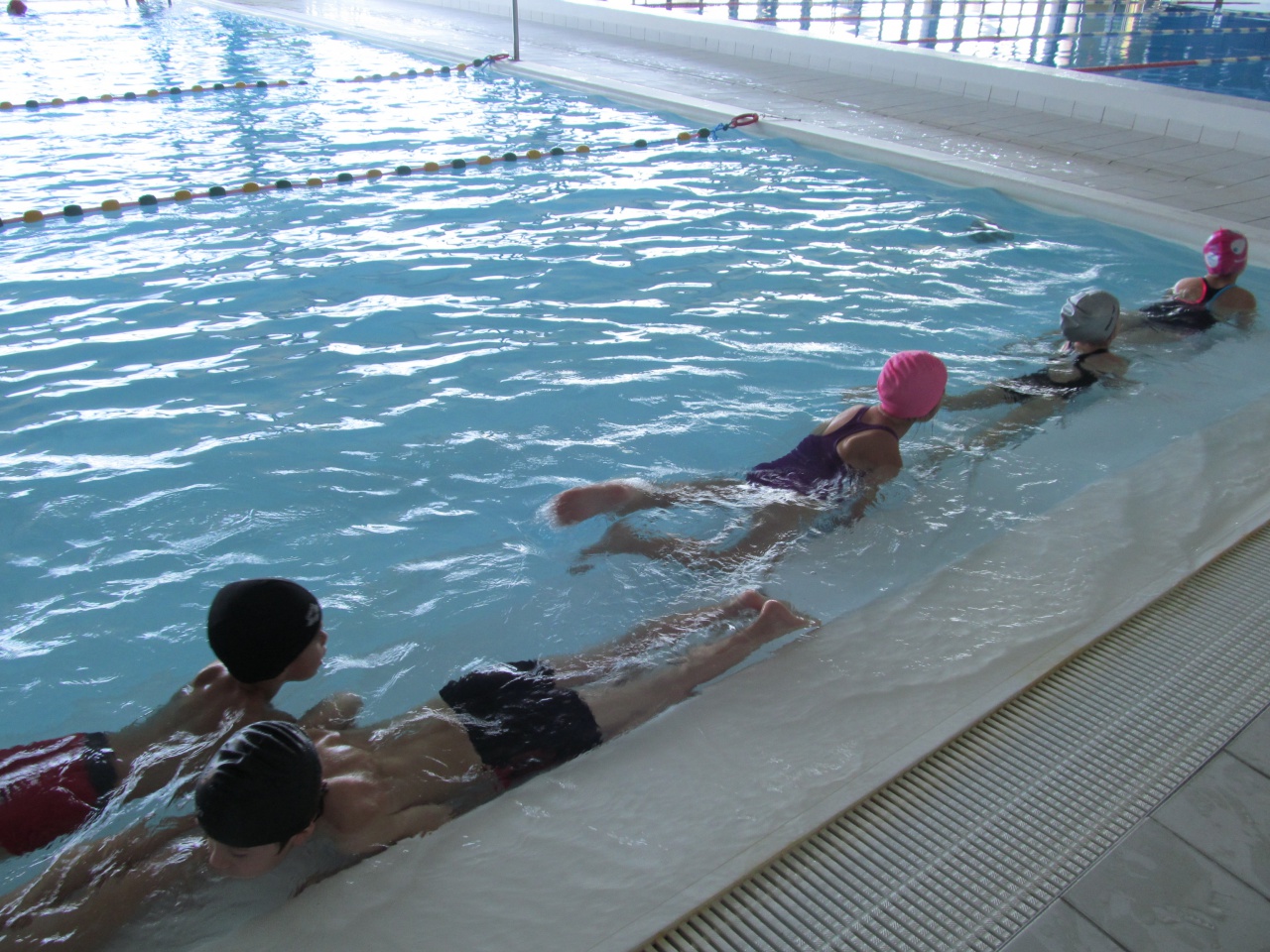 u cuccudrillu (2) u cuccudrillu (2)