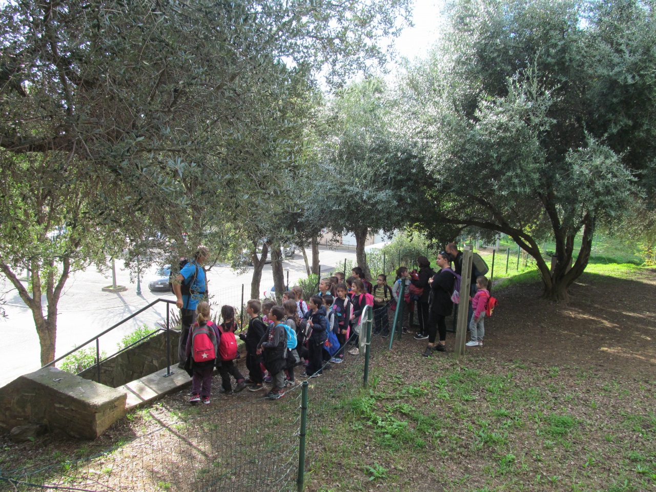 5 Simu pronti per a girandulata. 5 Simu pronti per a girandulata.