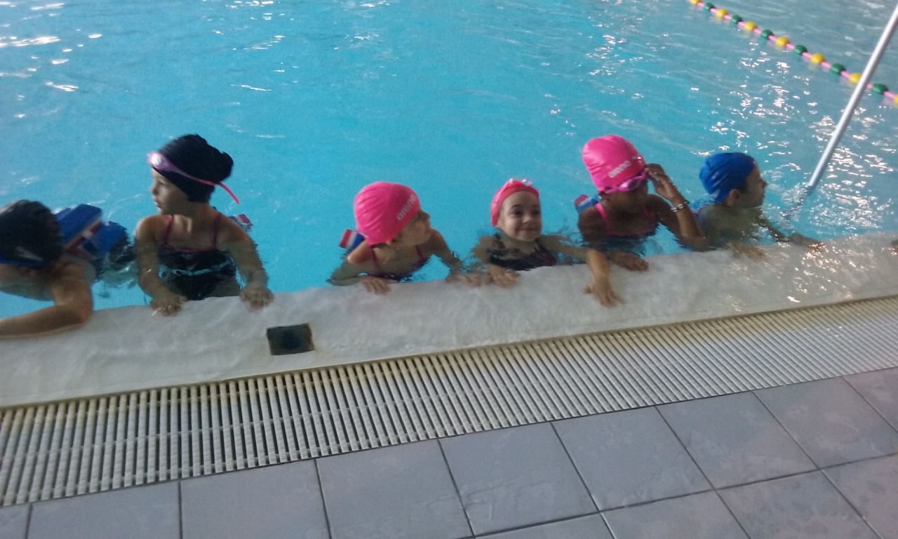 20151106_142932 20151106_142932