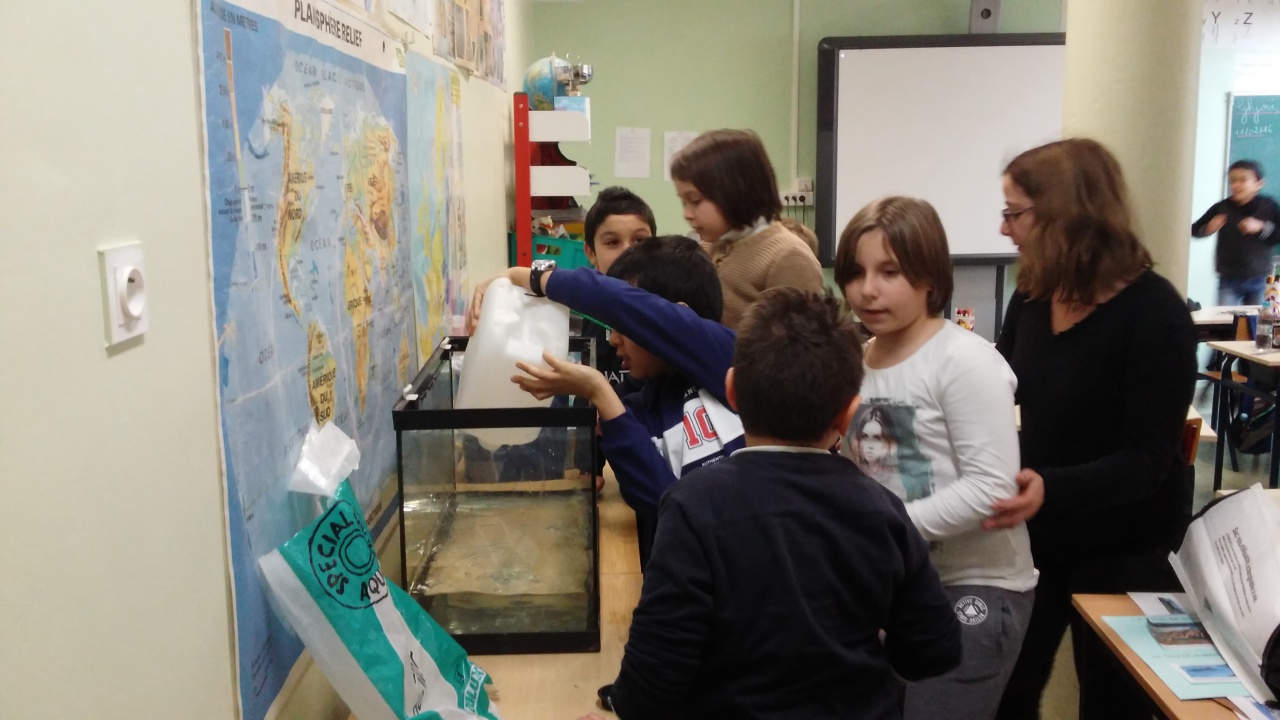 20160211_145818 20160211_145818