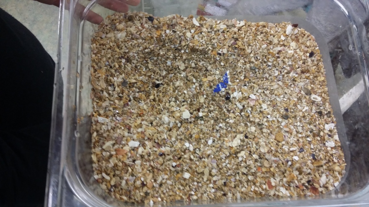 20160211_150108 20160211_150108