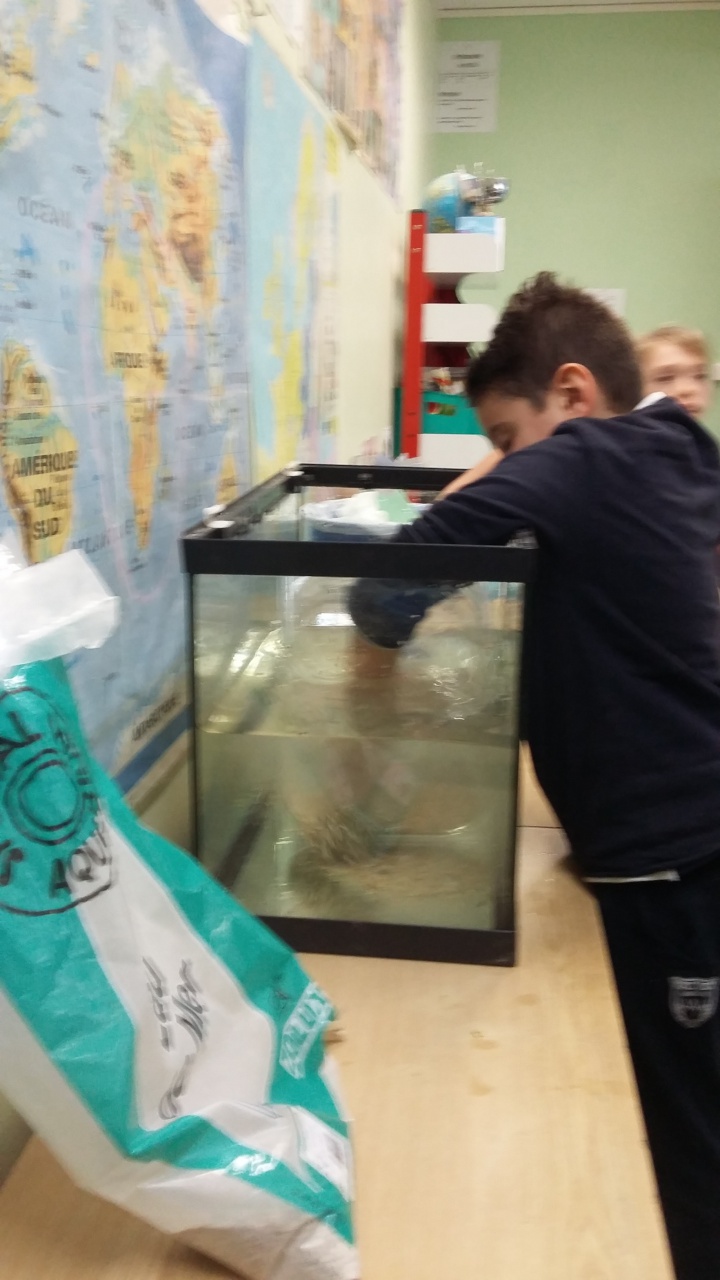 20160211_150332 20160211_150332