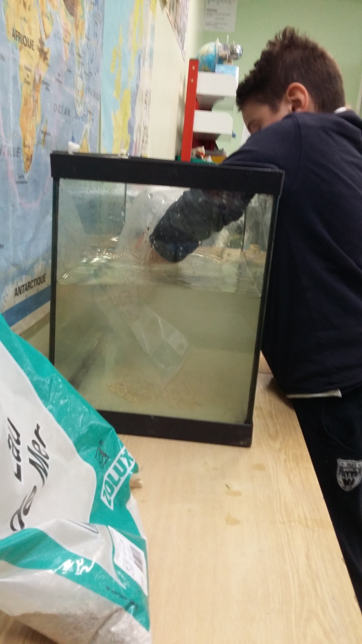 20160211_150347 20160211_150347