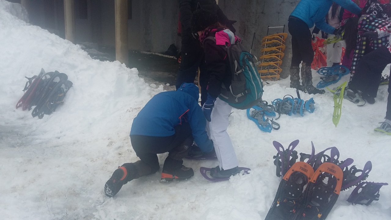 20160310_125915 20160310_125915