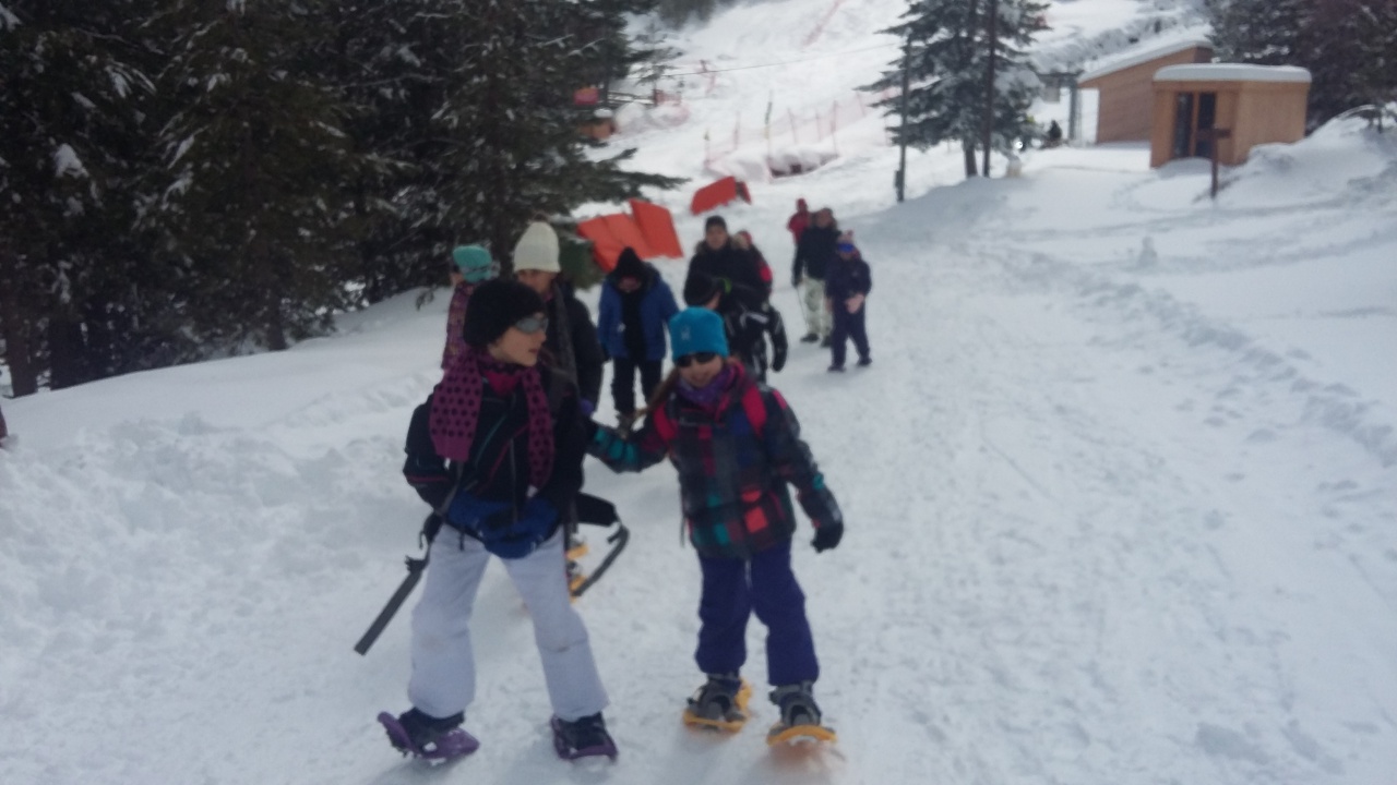 20160310_132941 20160310_132941