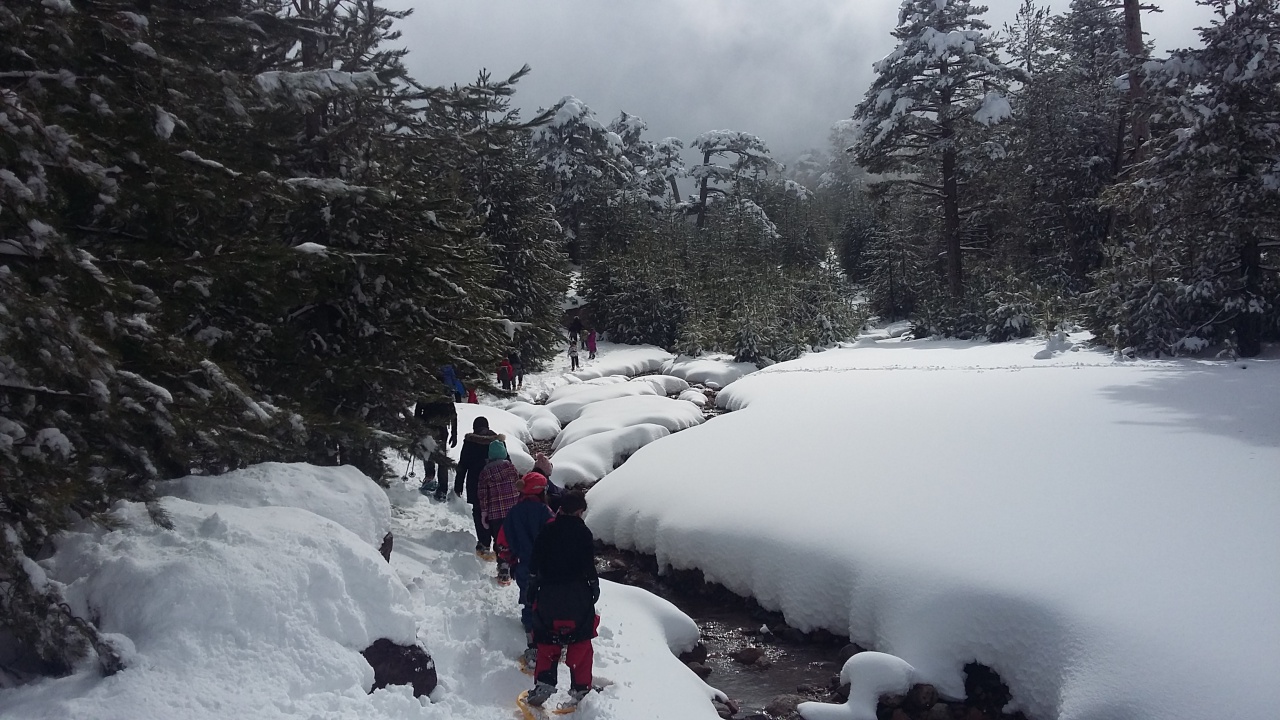 20160310_135005 20160310_135005