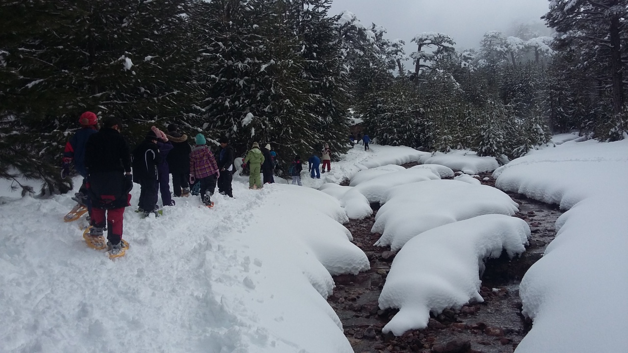 20160310_135037 20160310_135037