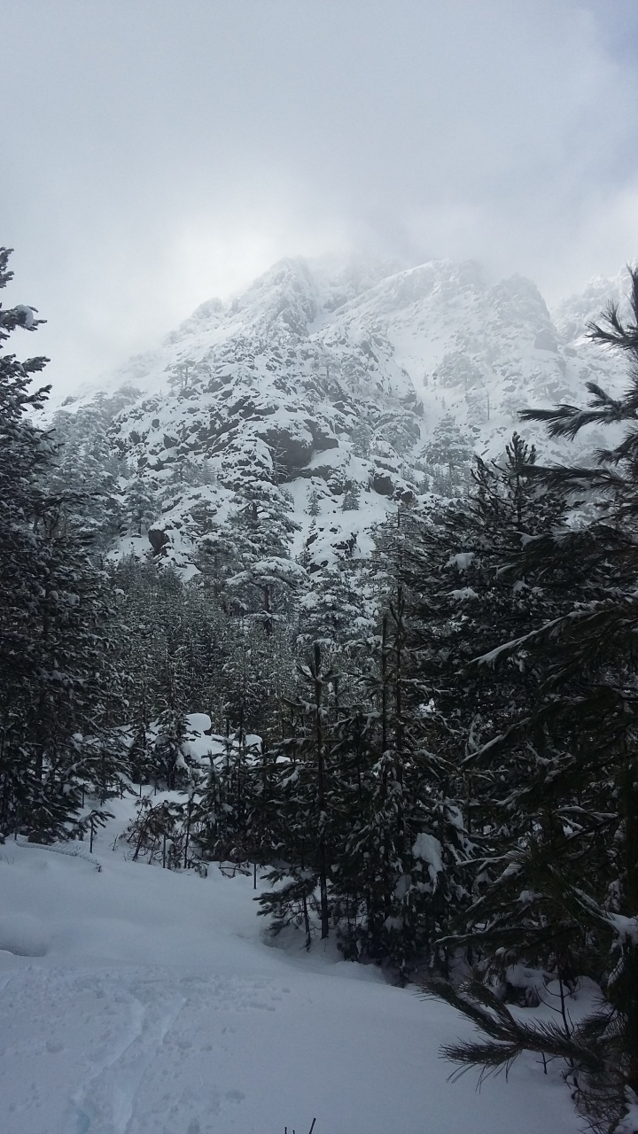 20160310_135908 20160310_135908