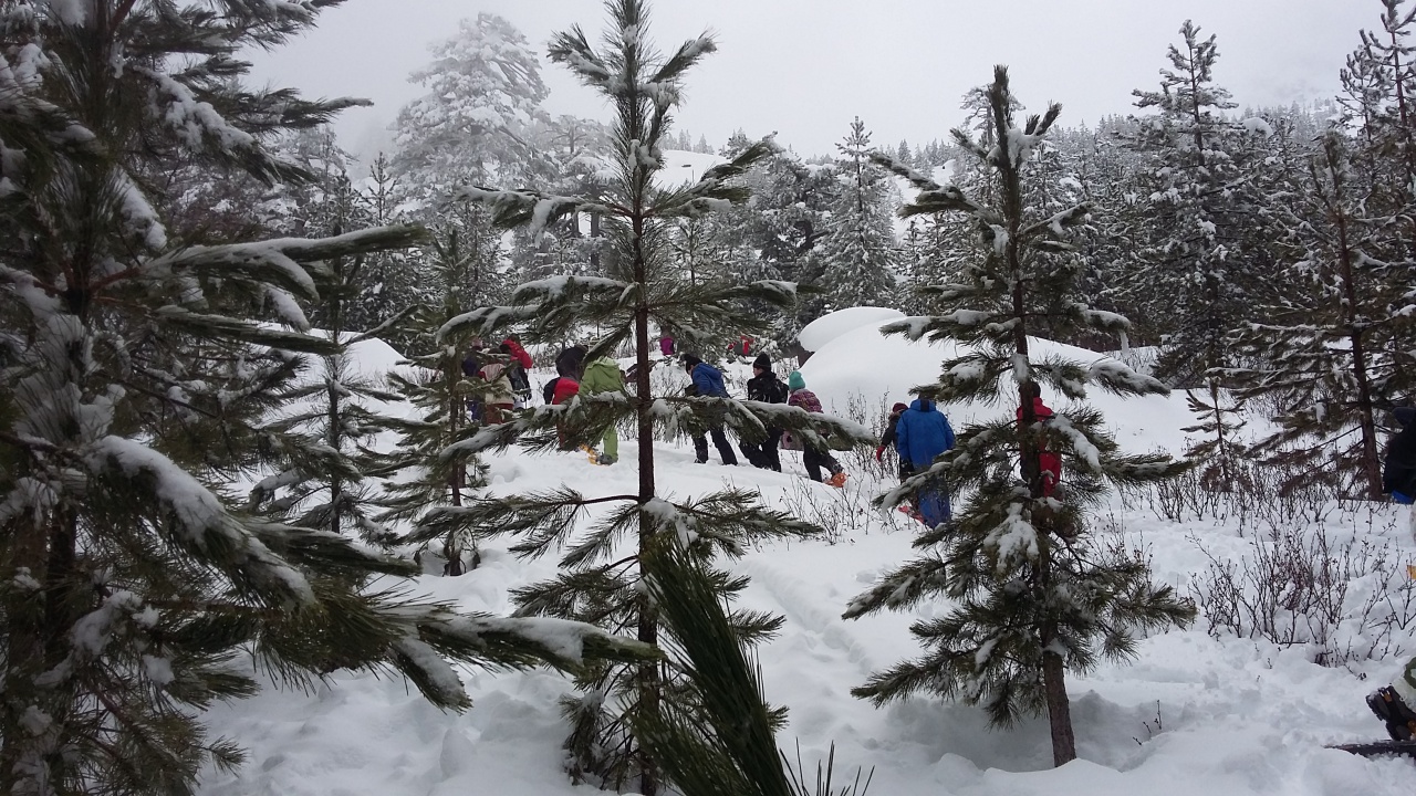 20160310_143635 20160310_143635