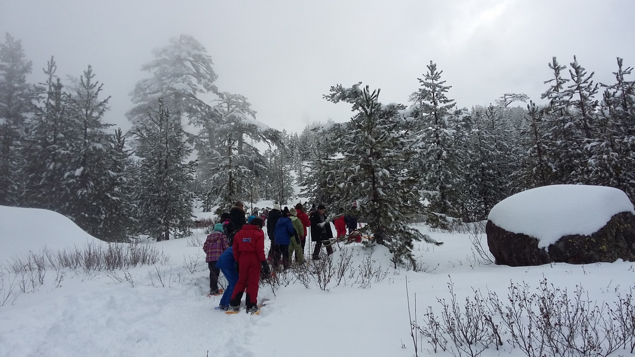 20160310_143740 20160310_143740