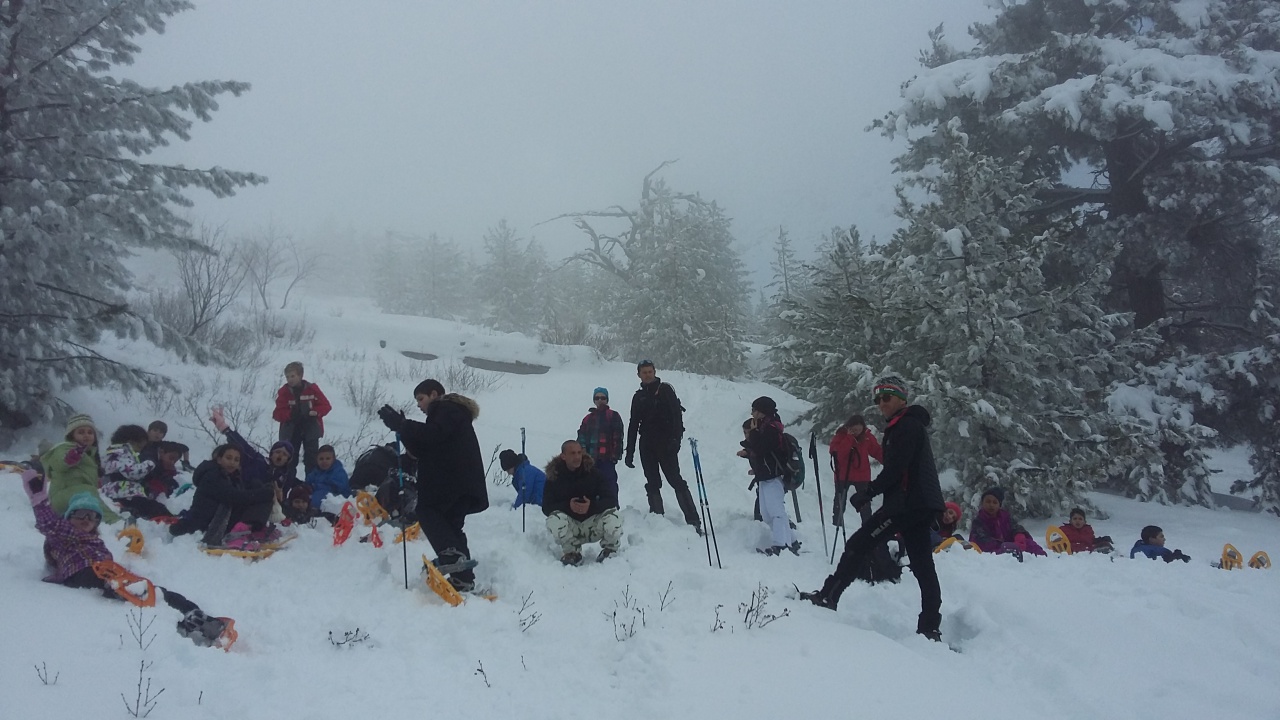 20160310_144621 20160310_144621