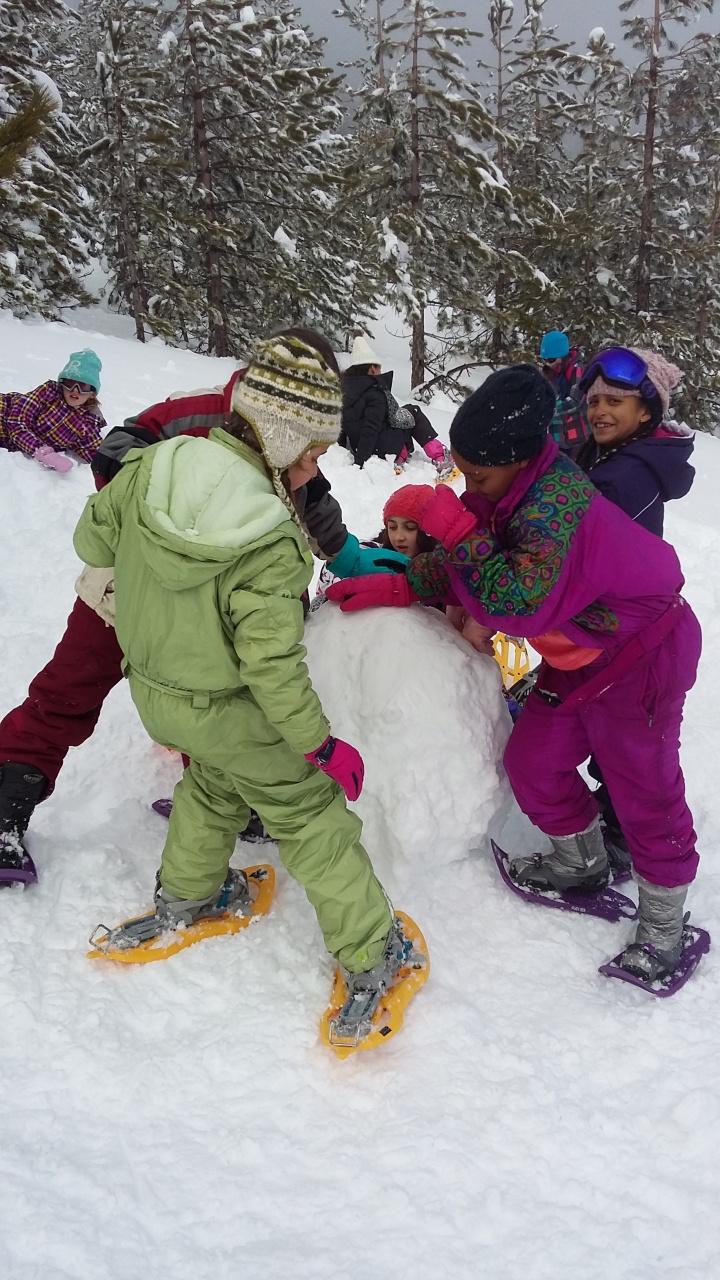 20160310_145800 20160310_145800