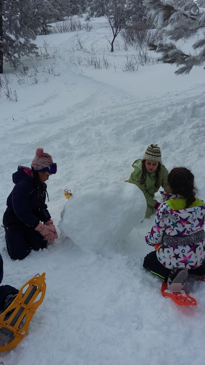 20160310_145826 20160310_145826