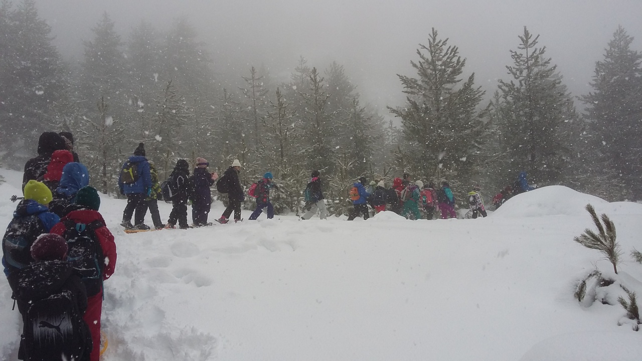 20160311_093740 20160311_093740