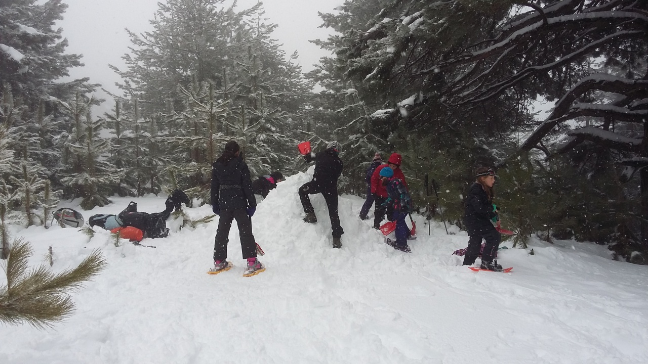 20160311_100321 20160311_100321