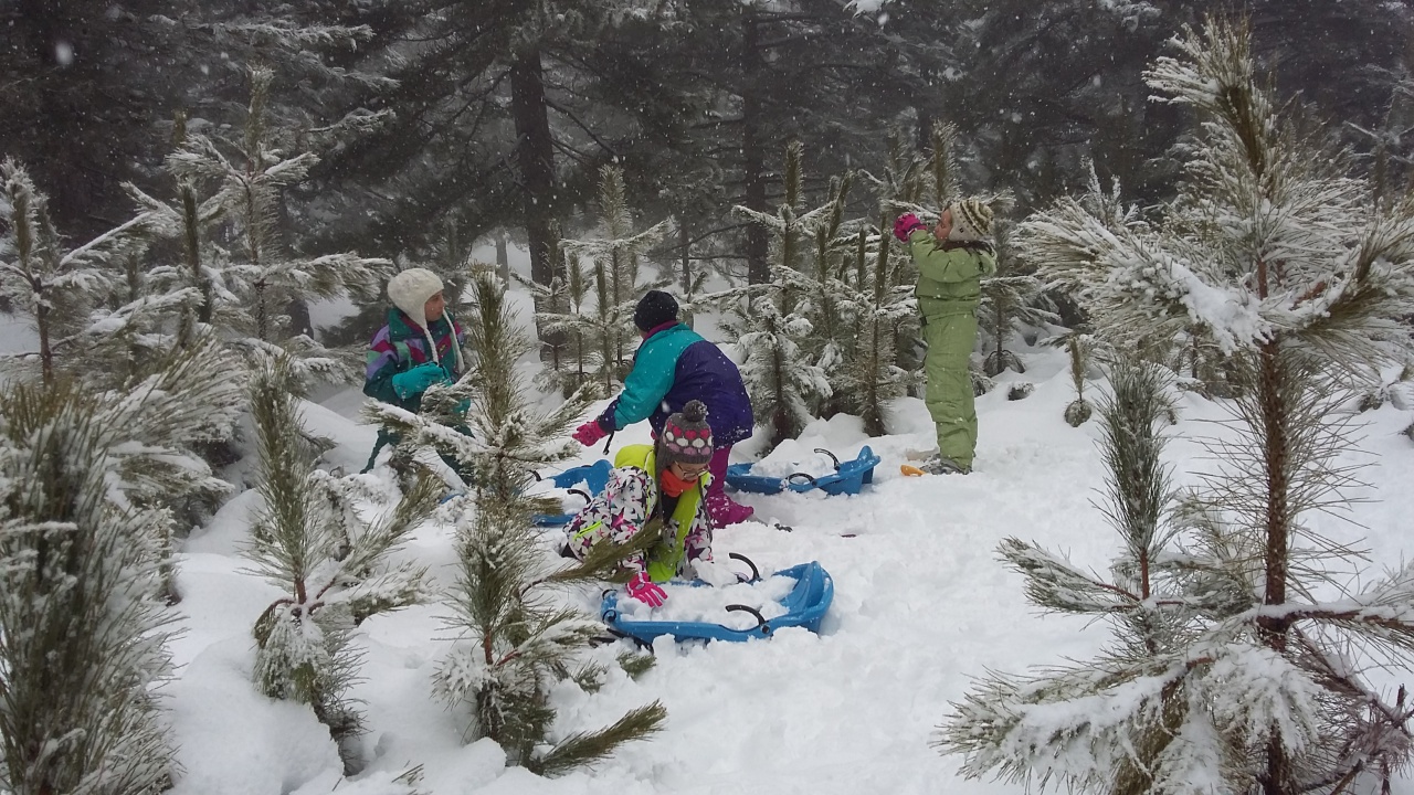 20160311_100327 20160311_100327