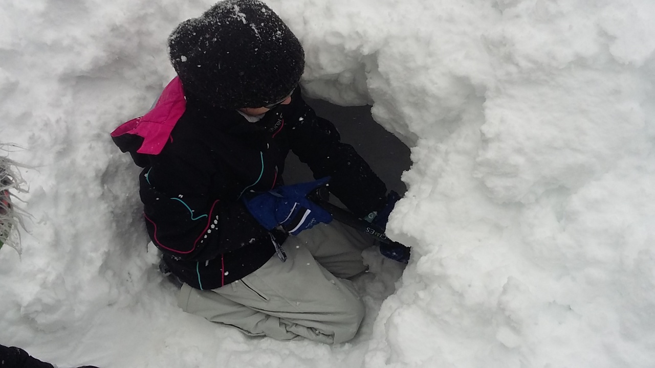 20160311_100410 20160311_100410