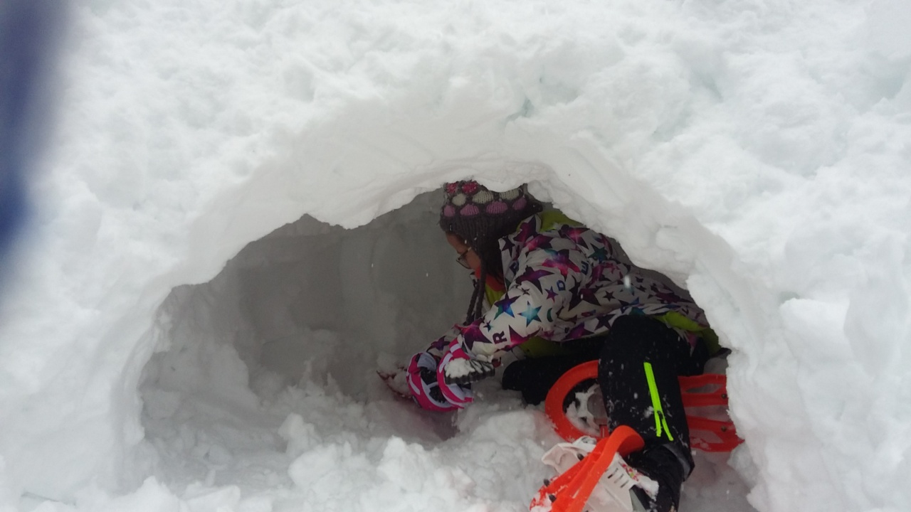 20160311_101127 20160311_101127