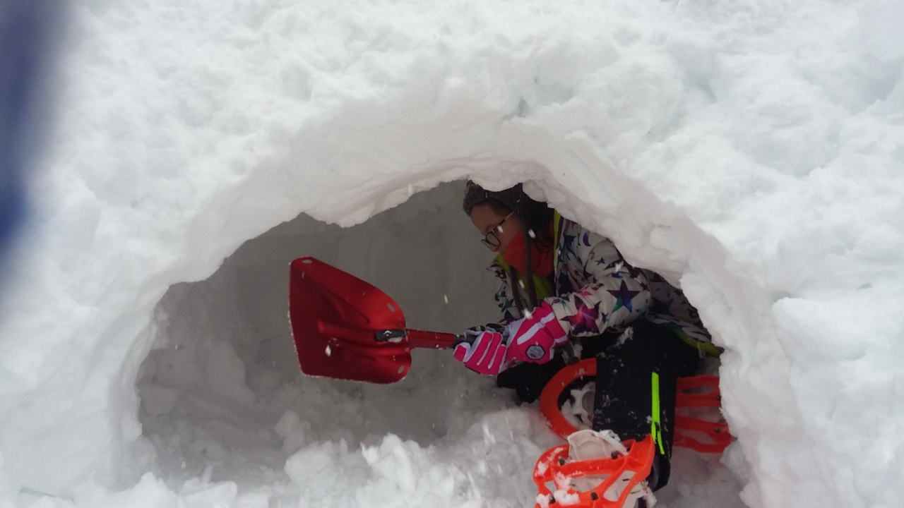 20160311_101129 20160311_101129