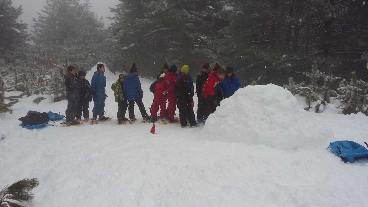 20160311_101824 20160311_101824