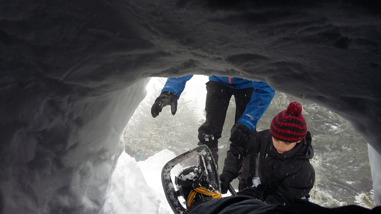 20160311_102559 20160311_102559