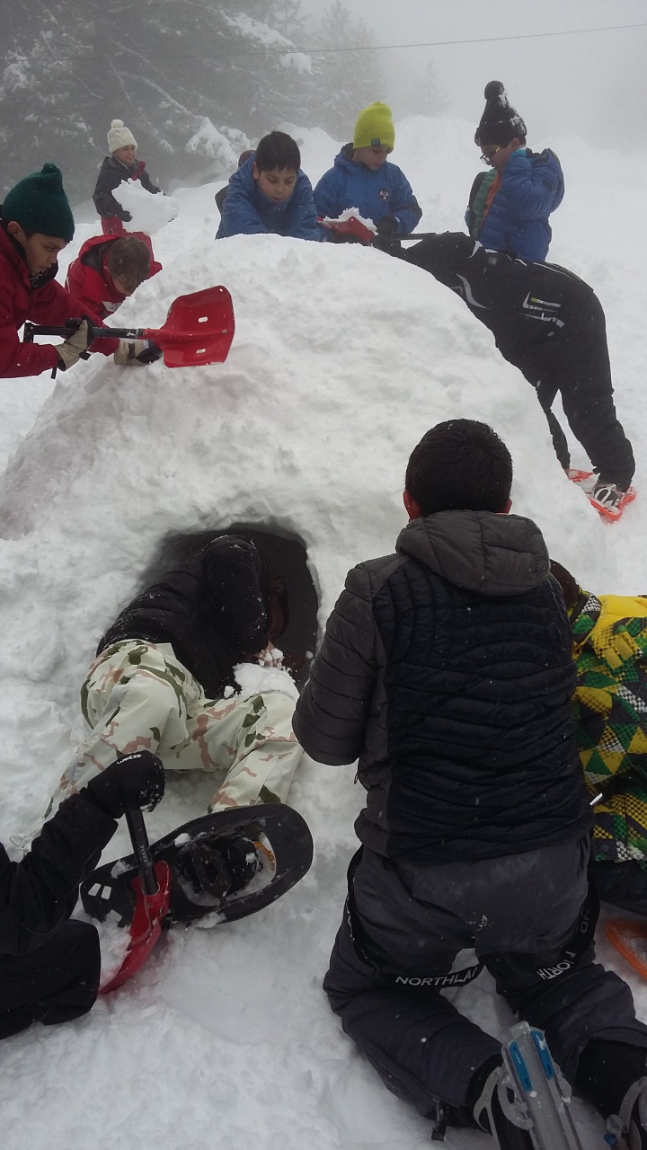 20160311_102729 20160311_102729