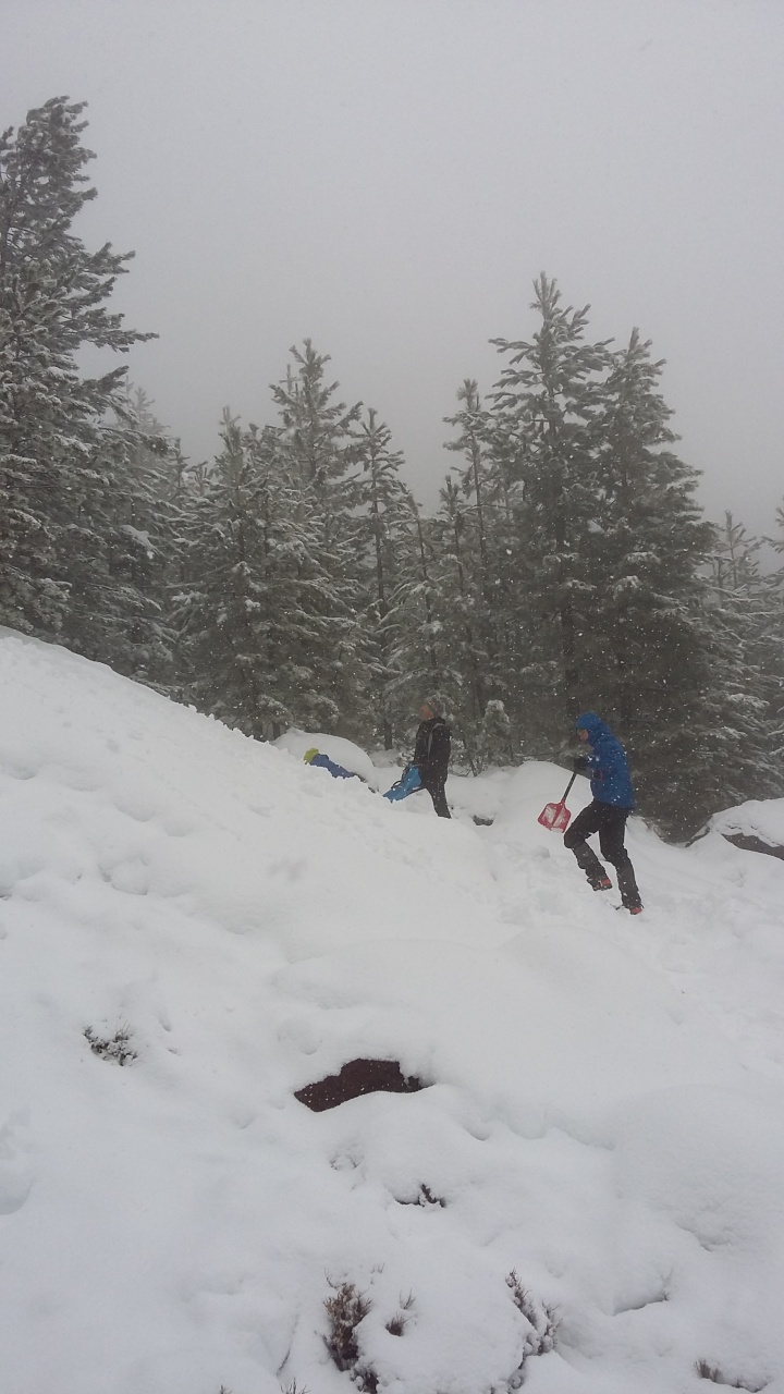 20160311_113855 20160311_113855