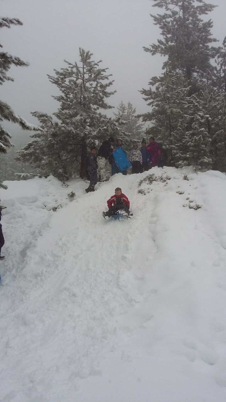 20160311_113929 20160311_113929