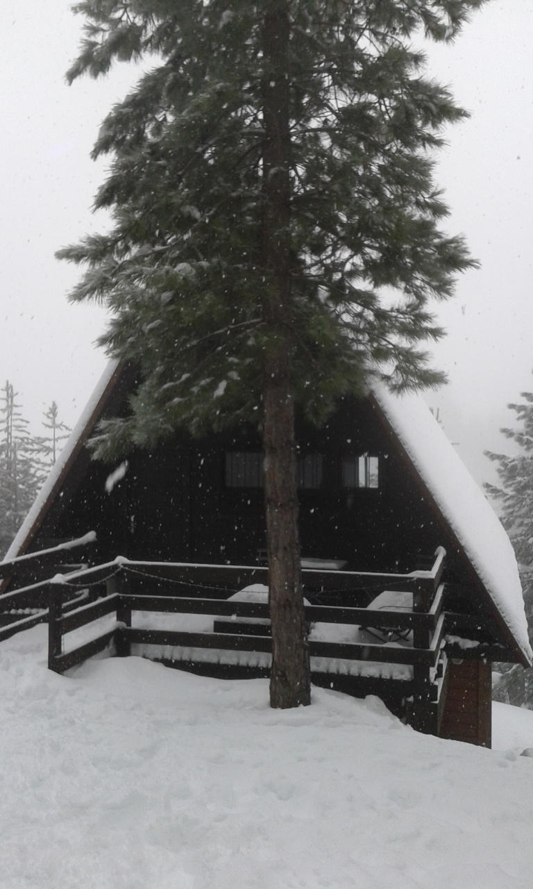 20160311_095351 20160311_095351