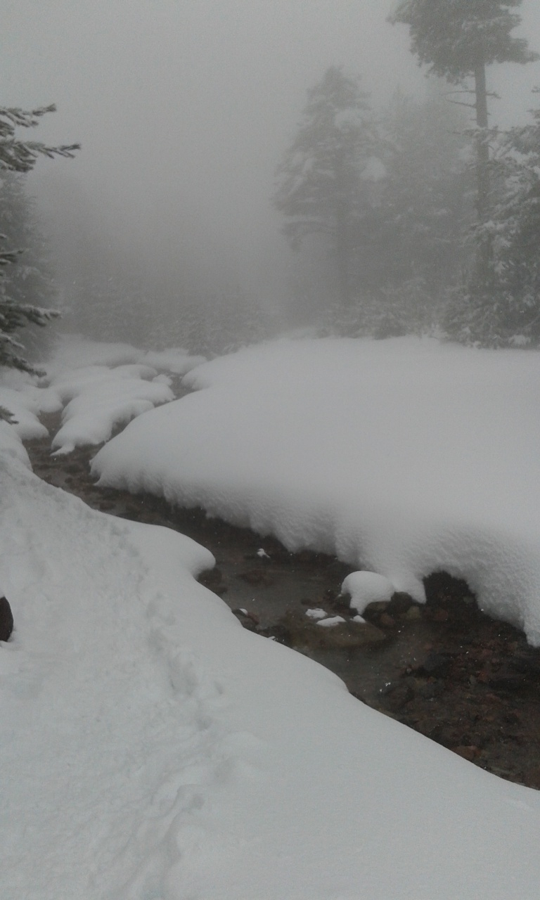 20160311_105917 20160311_105917