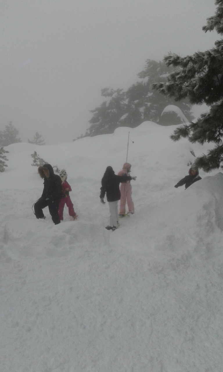 20160311_105944 20160311_105944