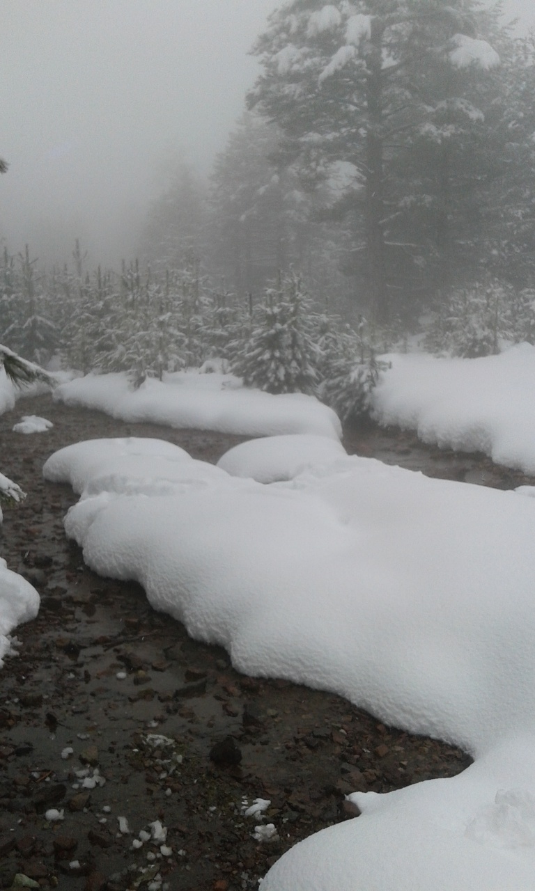 20160311_110242 20160311_110242