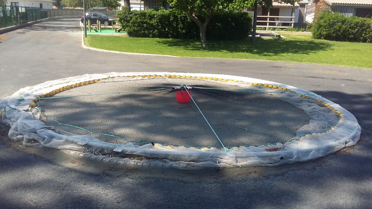 20160512_105126 20160512_105126