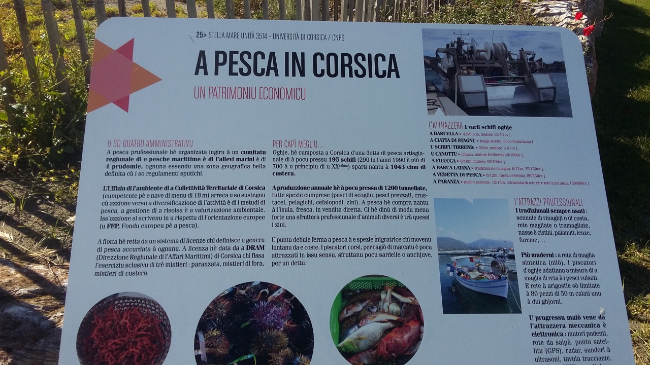 20160512_093619 20160512_093619