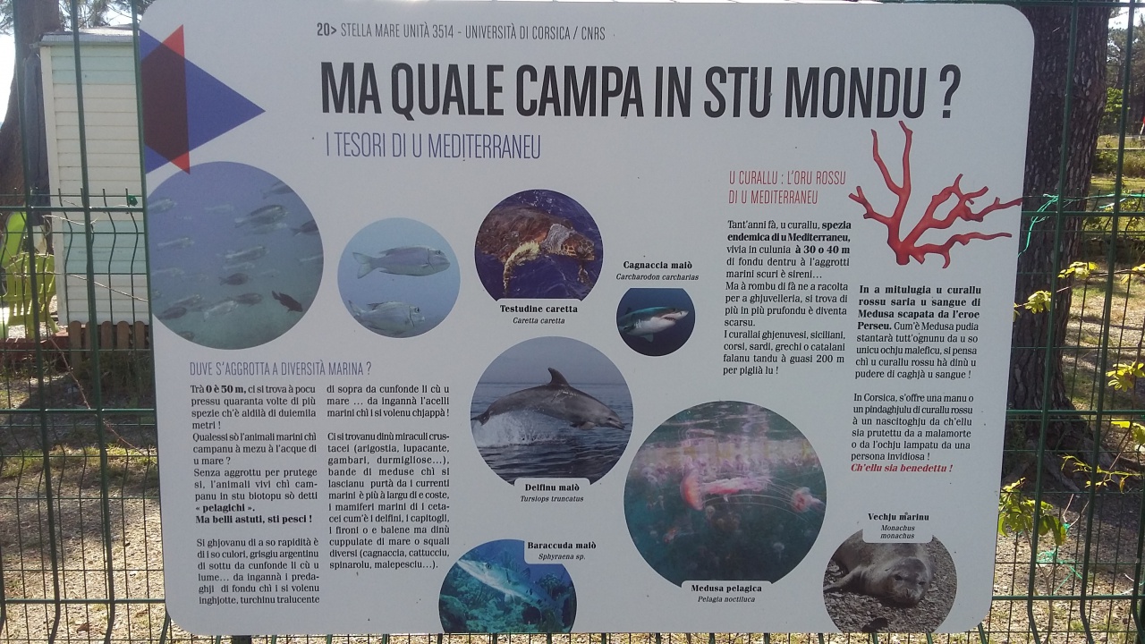 20160512_105046 20160512_105046