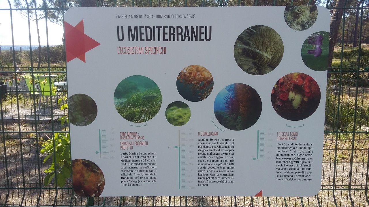 20160512_105054 20160512_105054