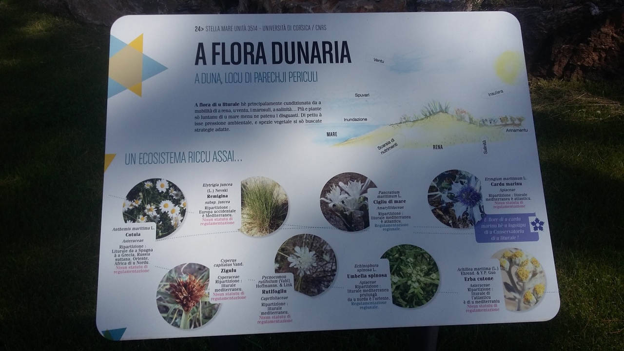 20160512_105152 20160512_105152