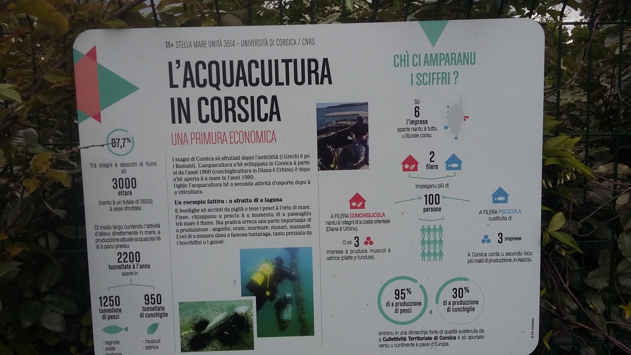 20160512_114709 20160512_114709