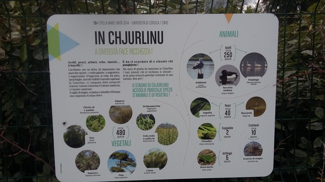 20160512_114715 20160512_114715