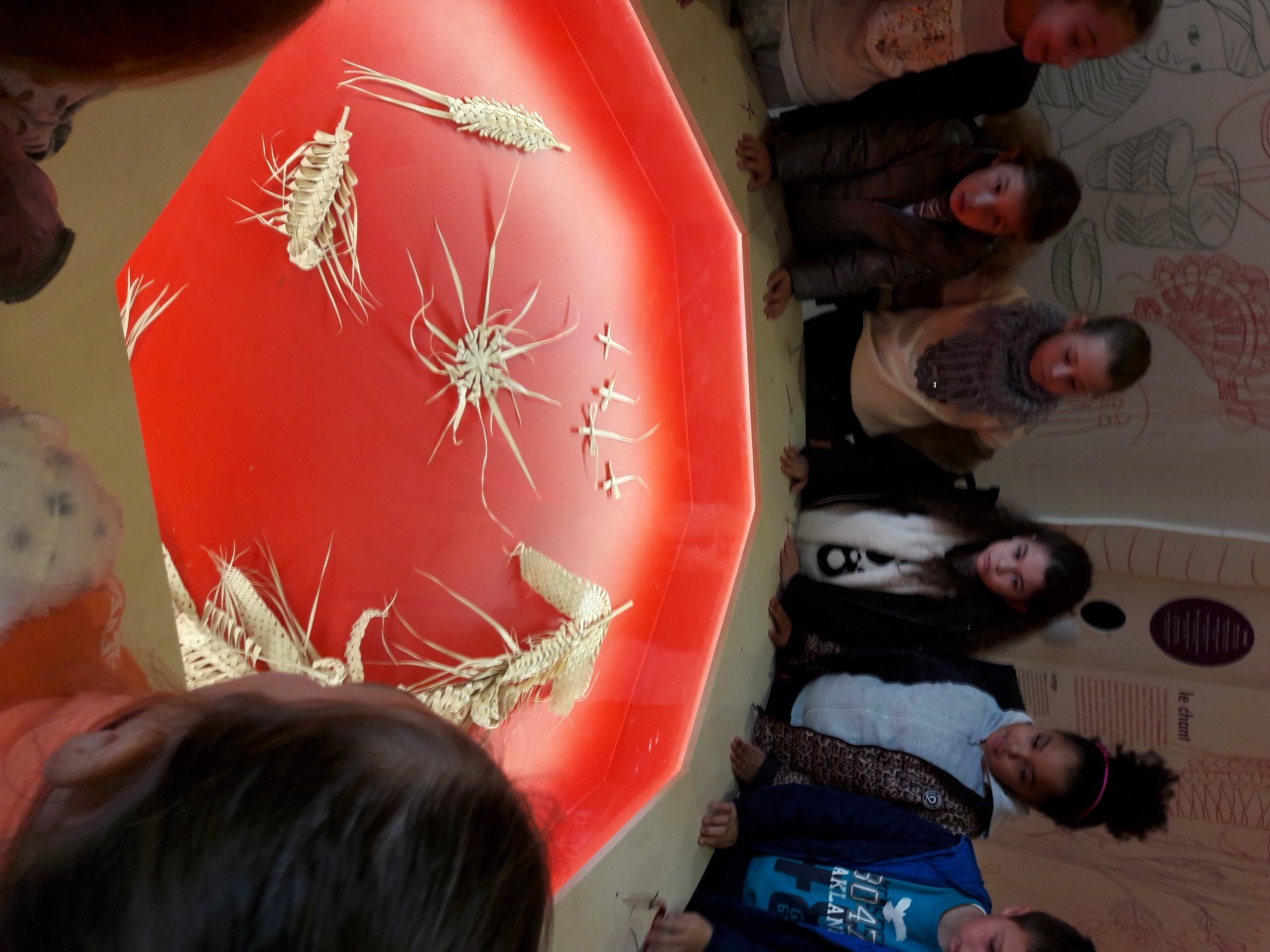 20161108_111635 20161108_111635