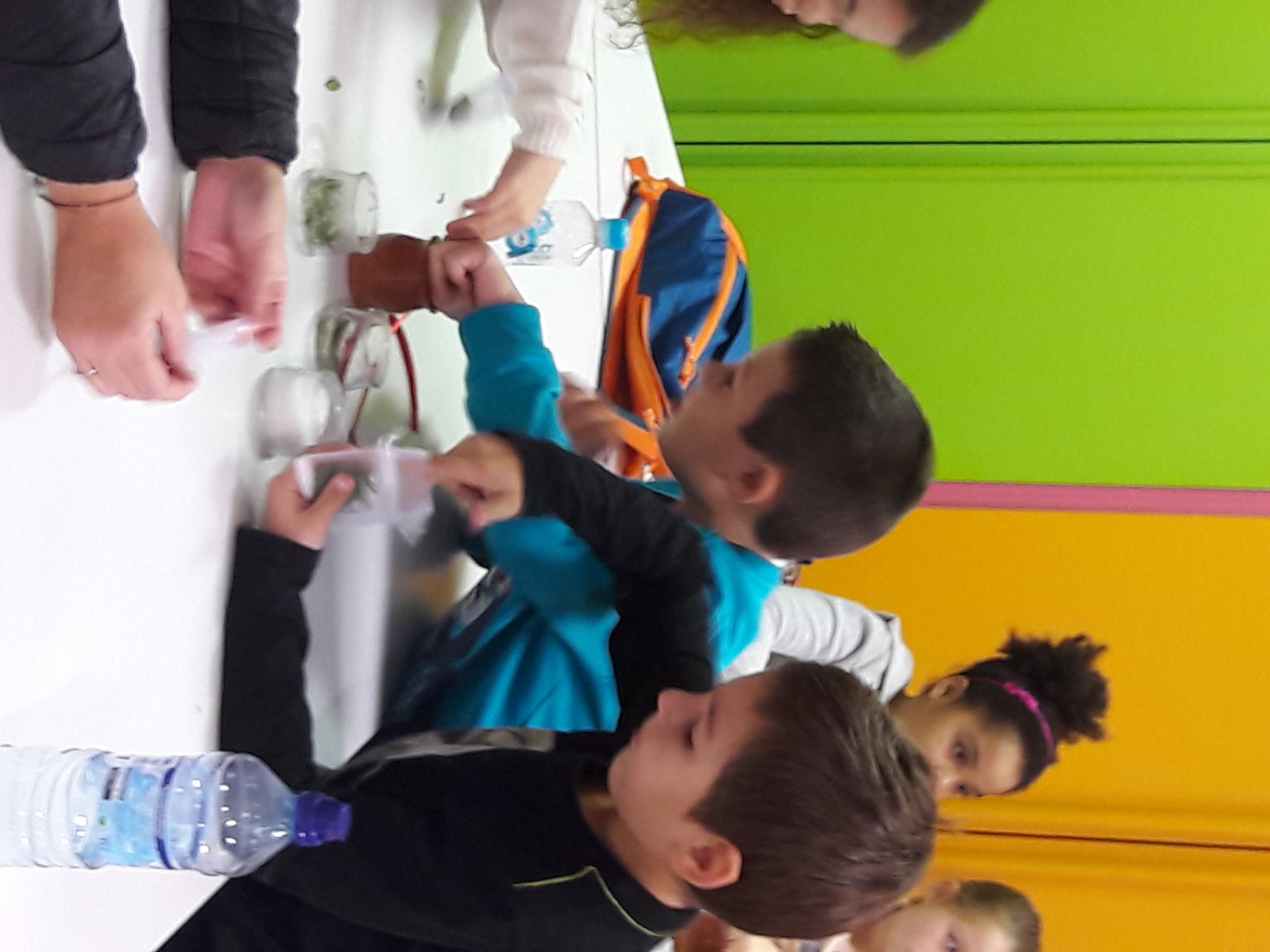 20161108_141007 20161108_141007