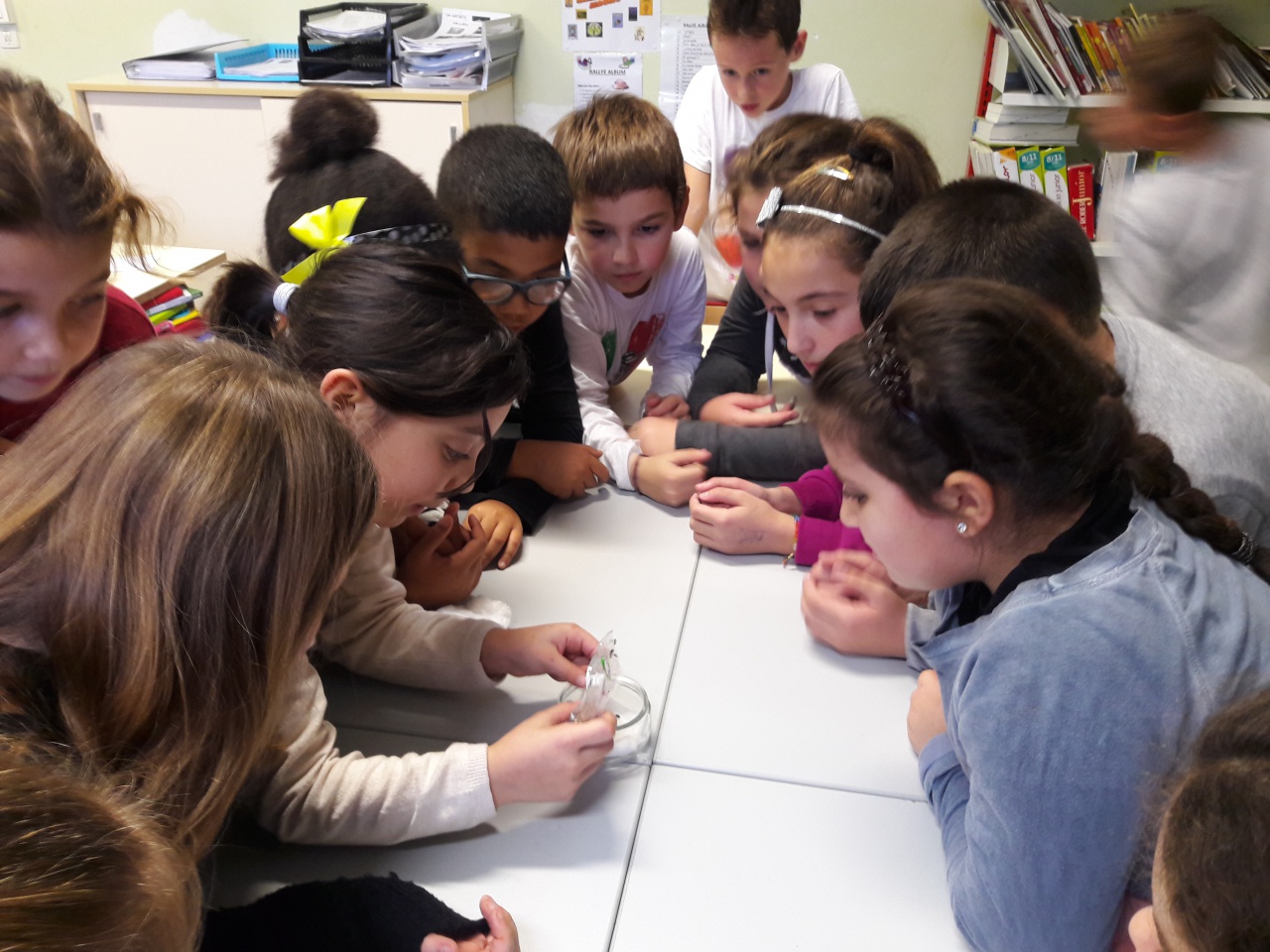 20161206_153439 20161206_153439