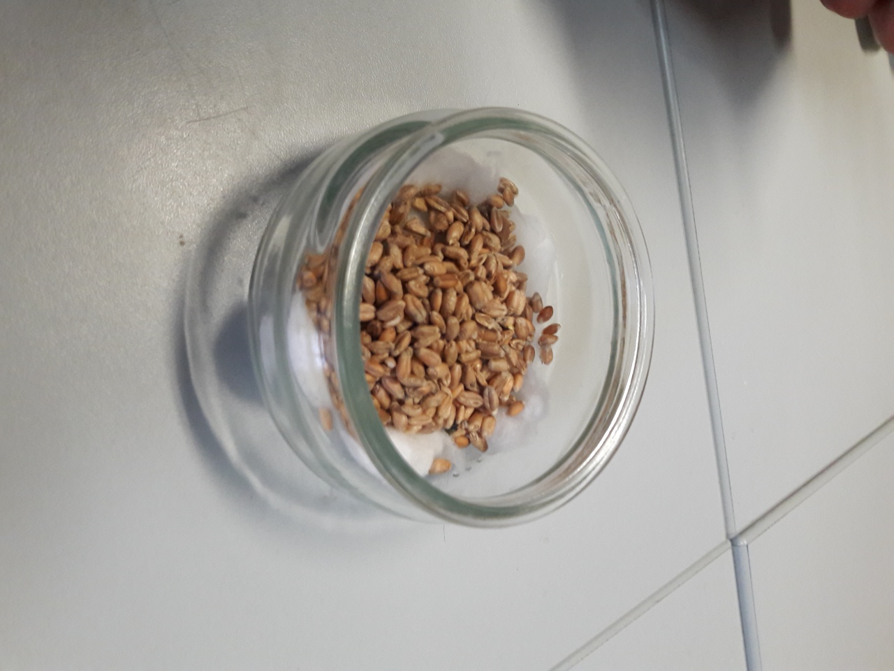 20161206_153520 20161206_153520