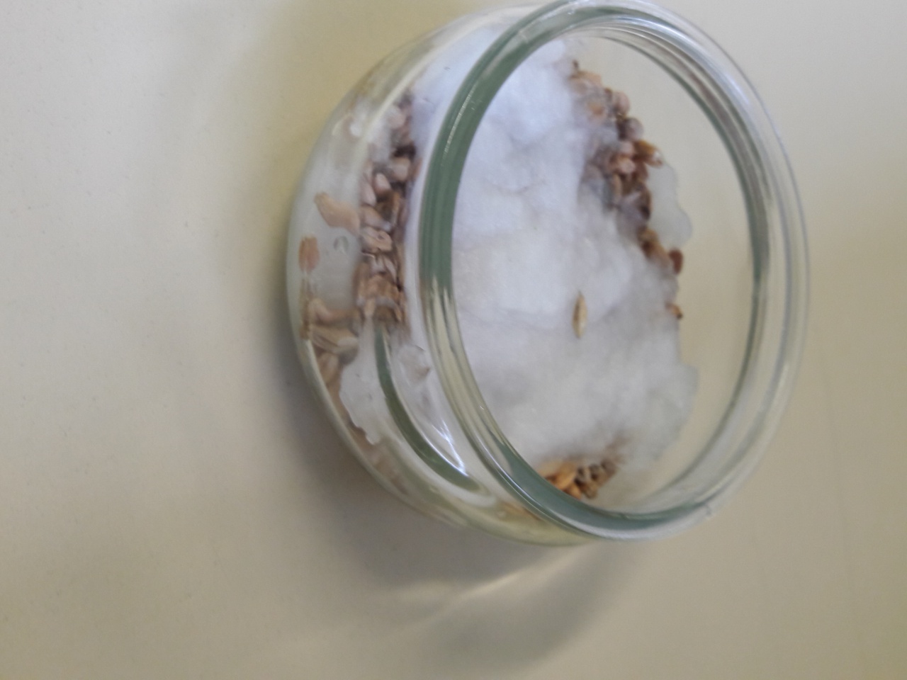 20161206_153802 20161206_153802