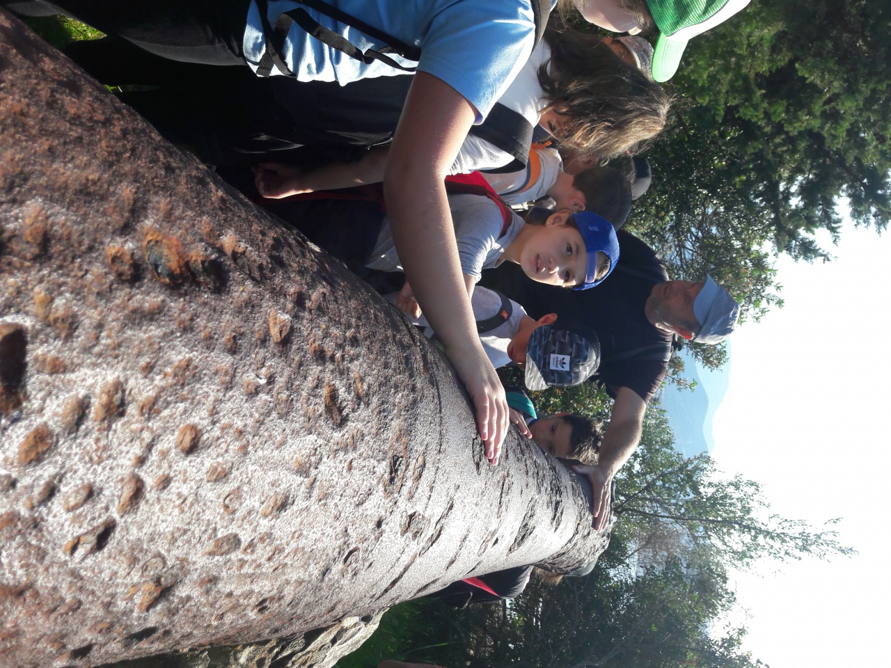 20170404_102035 20170404_102035