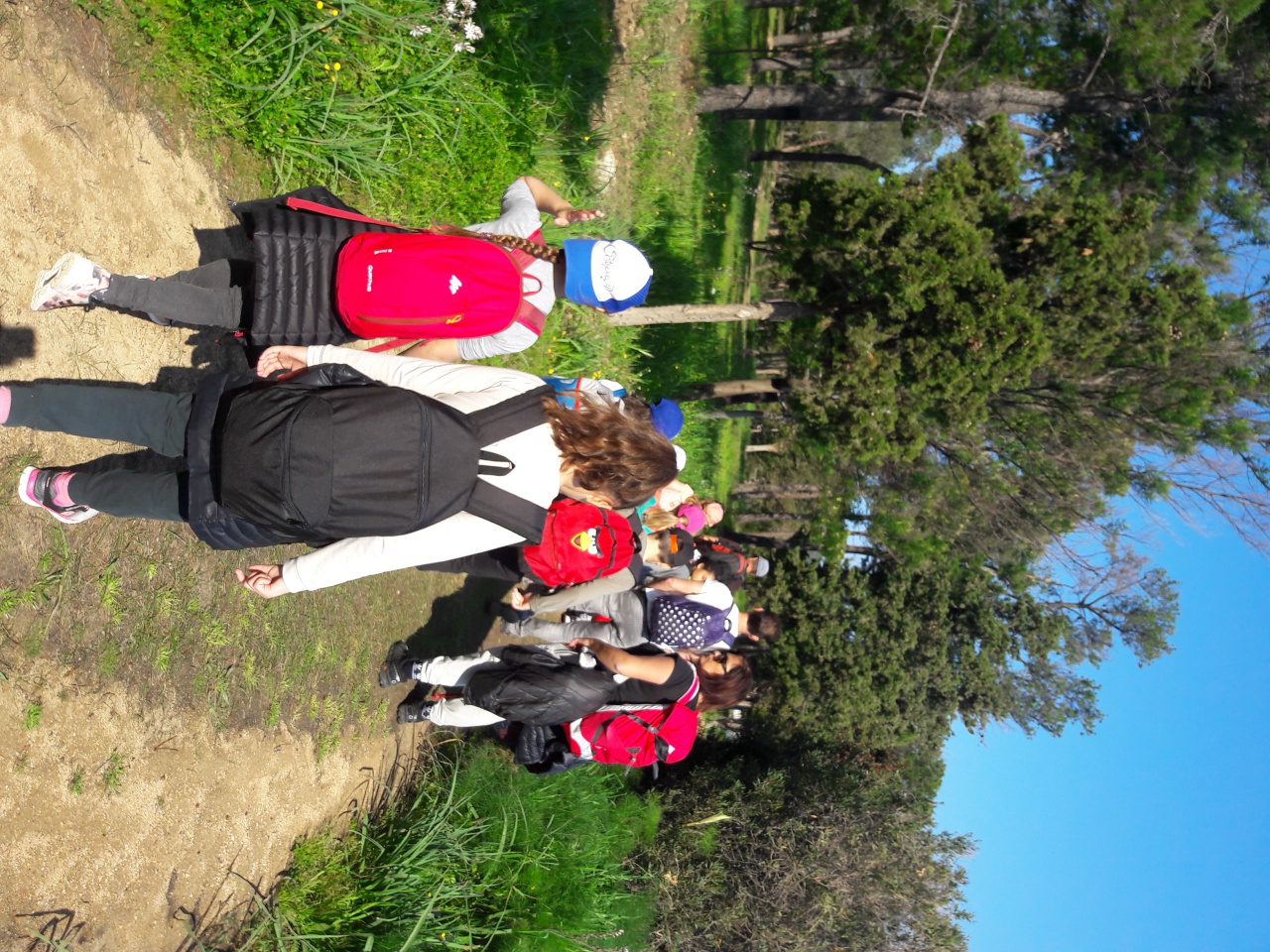 20170404_102722 20170404_102722